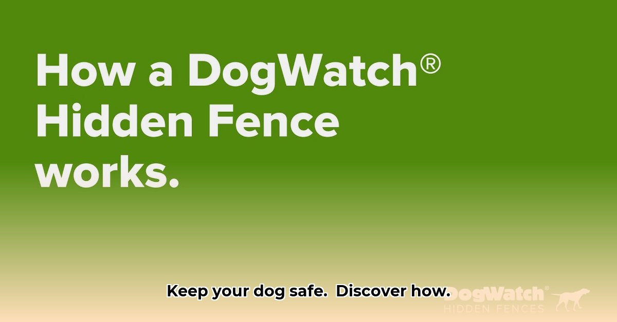 dogwatch-baltimore